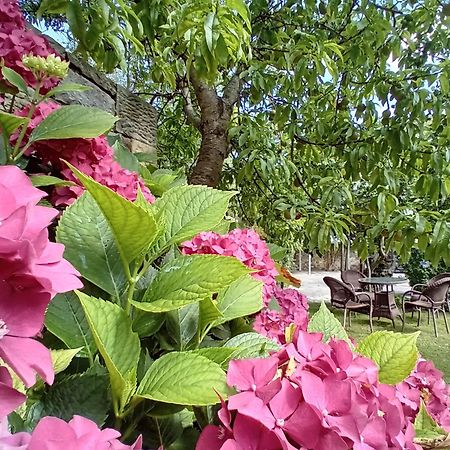 Picos De Europa Suites And Rooms Turieno Exterior foto