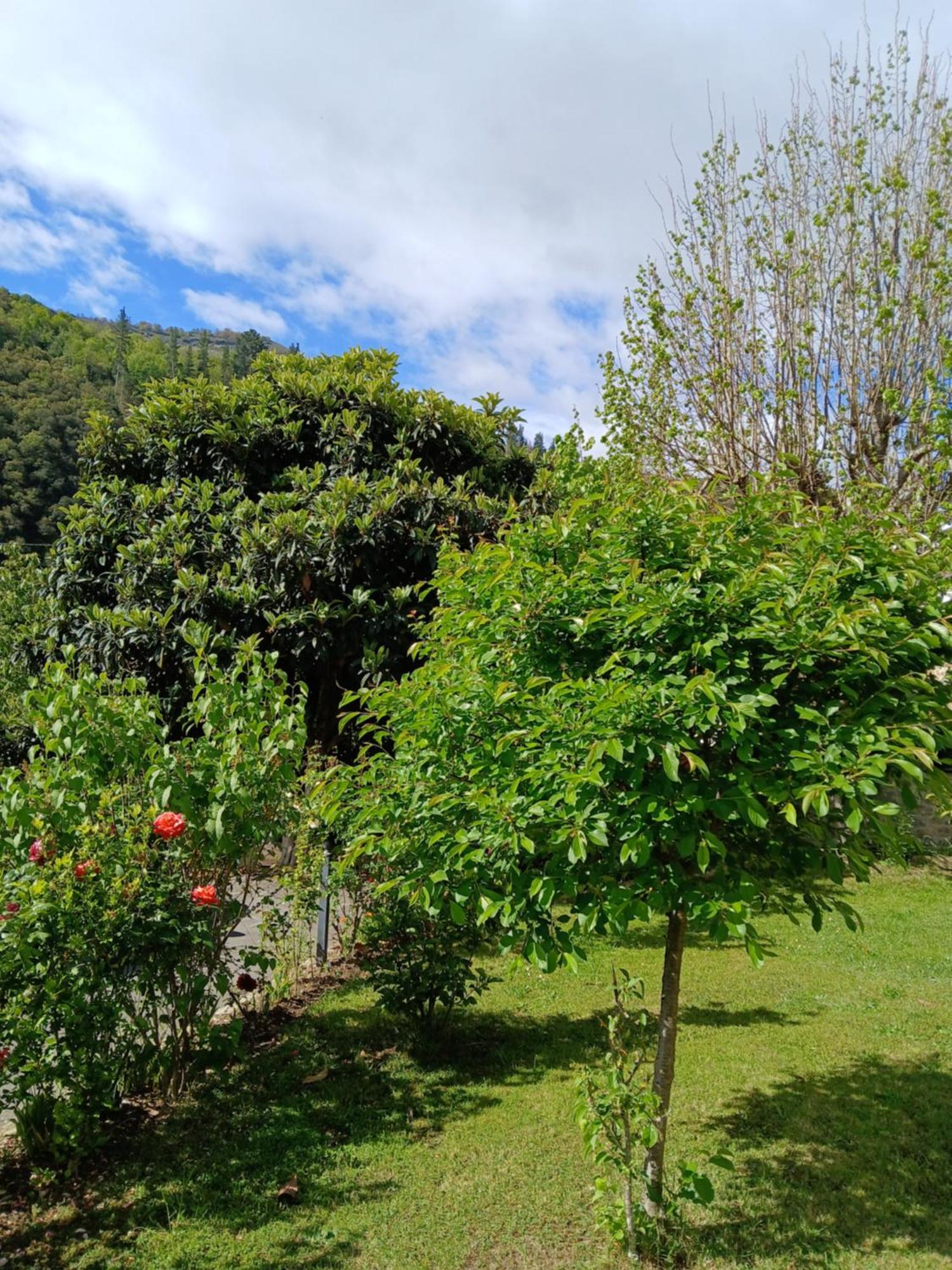 Picos De Europa Suites And Rooms Turieno Exterior foto