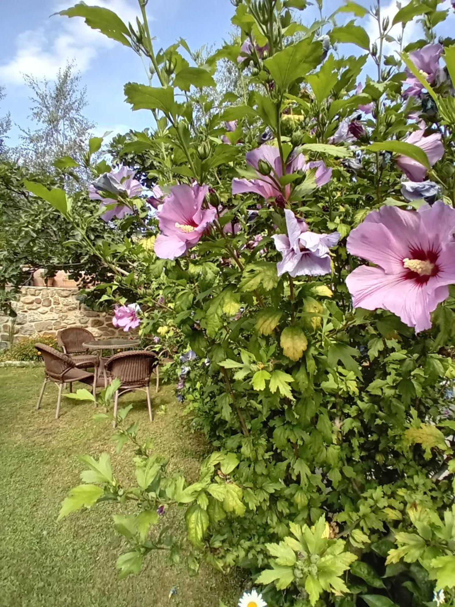 Picos De Europa Suites And Rooms Turieno Exterior foto