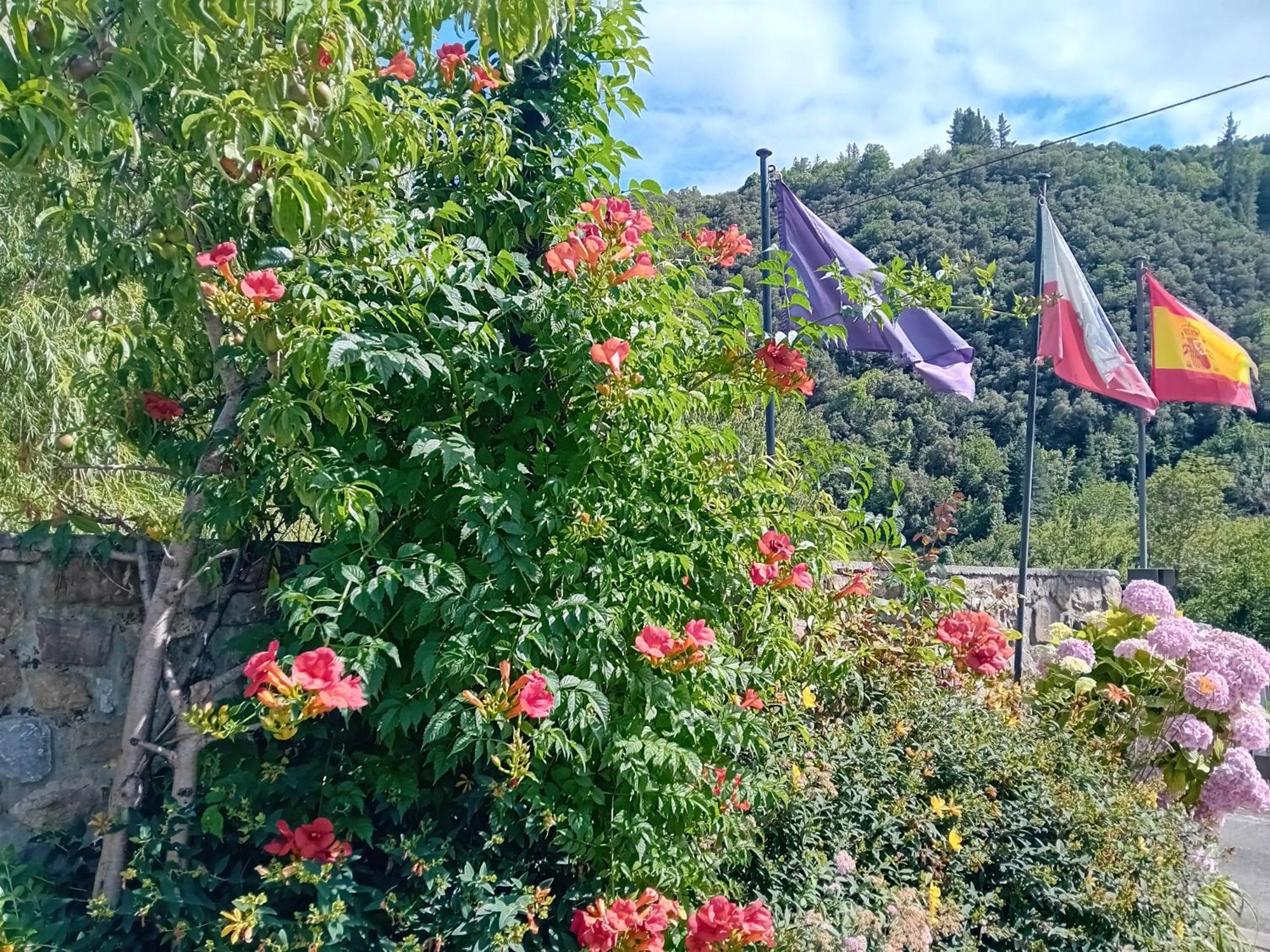 Picos De Europa Suites And Rooms Turieno Exterior foto